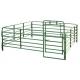 Pipe Railing Cattle Corral Panels , Portable Corral Panels With Black Green Painted