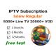 EX-YU M3U IPTV Subscription Iview Regular Europe Arabic for Fire TV Stick
