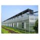 Water Resistance Glass Sheltered Greenhouse For Plant Cultivation