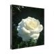 P5.71 Outdoor Fixed LED Display SMD2727 960x960mm 6000nits Black / White Cabinet