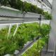Greenhouse Hydroponics Fodder Container Systems Customization for Optimal Performance