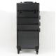 Aluminum Trolley Makeup Case/Pro Makeup Case with Locks and Dividers for Secure and Organized Storage