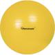 Inflatable Exercise Gym Yoga Ball Anti Burst Custom Printed PVC For Training