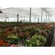 8m*4m Dimenison Garden Glass Greenhouse Easily Assembled Highly Durable