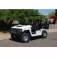 White 70N.m/4000rpm Max Torque, ECU Ignition, Water-Cooled Off Road Dune Buggy 800UV-R2