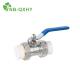 Thread Connection Form Flexible Ball Valve for Water Brass Core PPR Fitting in Pipe System