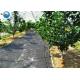 Garden Use Woven Weed Mat Plant Nursery Ground Cover Weed Control Mat PP Landscaping Fabric