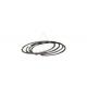 Cummins Engine Parts 3803471 / 4089811 Diesel Piston Rings NT855 Fitting Piston Rings