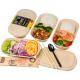 100% Compostable Food Container Sugarcane Lunch Box Bamboo Storage Boxes & Bins Eco-Friendly Multifunction