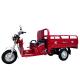 Customized Body 800W Light Load Three Wheel Cargo Motorcycle Tricycle Trike Bike for Adult