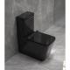 Black Floor Mounted Luxury One Piece Siphon Elongated Toilet for South American Market