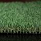 Anti Ultraviolet Sports Synthetic Grass / Artificial Golf Putting Green