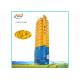Easy Operated Maize Drying Machine 15T Capacity Yellow And Blue Color Type