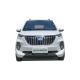 Qingdao China supplier new energy car cheap price 5 door 4 seat electric adult vehicle for sale