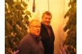Curtain of light offers energy savings for market gardens