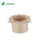Round Head Code DIN Standard Pn16 CPVC Reducer Bushing with SCH40 Wall Thickness