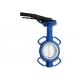 PTFE Seat Wafer Butterfly Valve Corrosion Resistance Wafer Butterfly Check Valve