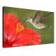 Full Color 1080p Seamless LCD Video Wall Slim Bezel DID Screen for Multiple Monitor