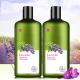 Nourishing Anti Dandruff Shampoo / Lavender Scented Shampoo Mild Creamy Formula