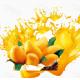Fruit Vegetable Mango Pulp Processing Plant  2-5T/H SUS304