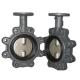 Lug Type Casting Iron Material Concentric Butterfly Valves NPS2-48