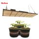 2x2 3x3 4x4 Quantum Horticulture LED Grow Lights With PWM Controller