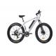Comfortable Electric Fat Tire Mountain Bike , Fat Tire Electric Bicycle With Bluetooth