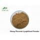 Anti aging Superfood Supplement Powder / Sheep Placenta Lyophilized Powder