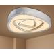 Modern Indoor Iron   LED Ceiling Mount Light  For Living Room Hotel