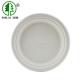 9 Inch Dinner Plate Sets FDA Sugarcane Pulp Disposable Plates From Bagasse