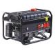 6500 Gasoline Portable Generator 6300W 110V/220/230V