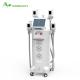 Factory price 4 handles Cryolipolysis Fat Freeze Slimming Machine With 1600W Output Power