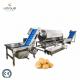 Potato Washing Machine Peeling Machine for Root Vegetables Stainless Steel 304 Function