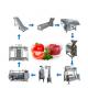 Customizable Fruit Juice Concentrate Machine Beverage Making Machine 1500T/D