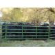 1.66 Od 16 Gauge Tubing 10ft Livestock Fence Panels With 14 Gauge Vertical Stays