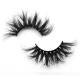 22mm Strip Natural False Eyelashes