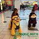 Hansel amusement animals toys stuffed battery powered walking toy rides