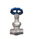 Cryogenic DN15 Low Temperature Control Valve Socket Weld