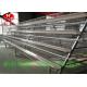 Hot Galvanized Poultry Manure Removal System 5 Tiers Intelligent  Control