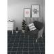 Durable Black 250x250mm Wall Tile For Living Room And W.A 6% Floor Ceramic Rustic Tile For Decoration