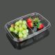 Clear PET FDA 2 Compartment Disposable Food Containers