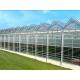 Complete Glass Greenhouse Agriculture Turnkey Project With Tomato Hydroponics System