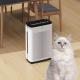 Adsorption Floating Hair C06 Smart Pet Air Purifier Removal Odor For Family