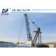 Luffing Jib Tower Crane without Mast Sections WD80-2420-8t Derricks Made in China