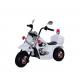 Three Wheel Electric Ride On Motorcycle for Kids Motor 18W Carton Size 53*36*32