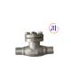 BW Cryogenic Check Valve DN10-100mm