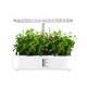 Full Spectrum Indoor Mini Garden 24W Table Lamp for plants seedling Smart hydroponics System 12 pods Large Capacity