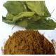Natural Mulberry Extract  1-Deoxynojirimycin (DNJ)5% powder