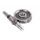 Cylindrical Metal Worm Gear Shaft High Torque With Machining