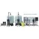 12TPH Salt Water Filtering Plant Water Filters Reverse Osmosis Plant With Ozonator